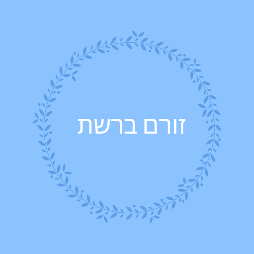 זורם ברשת 